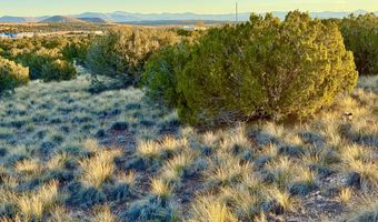 136 Zuni Dr, Concho, AZ 85924