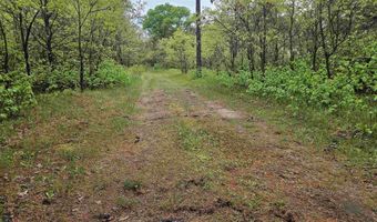 1117 14th Ct, Arkdale, WI 54613