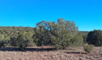 5 N8715, Concho, AZ 85924