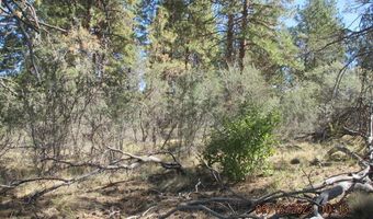 Jaguar Lane Lot 29, Bonanza, OR 97623