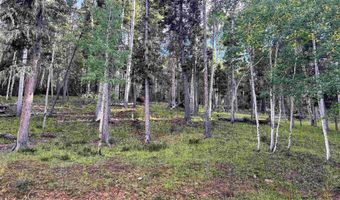 Lot 1283 Via del Rey, Angel Fire, NM 87710