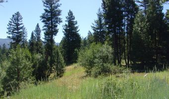 Skunk Creek Road, Cascade, ID 83611