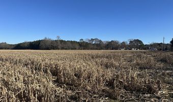 0 Bivalve Lodge Rd, Bivalve, MD 21814