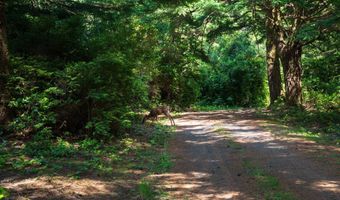 88677 WHITING Ln, Bandon, OR 97411