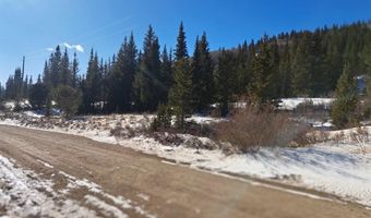 3553 RIVER Dr, Alma, CO 80420