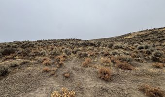 Rattlesnake Street, Elko, NV 89801