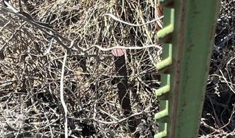 9 51 Ac With 0.5 AF Of Water, Beryl, UT 84714