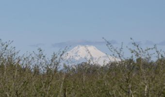 10418 Champoeg Rd NE, Aurora, OR 97002