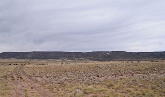 00 Forest Service Rd 450, Grants, NM 87020