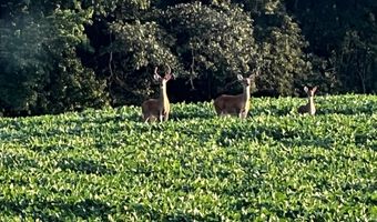 27 Mile Rd, Albion, MI 49224
