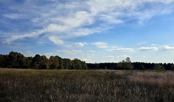 303 Westwood Rd NW, Alden, MI 49612