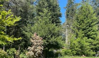 29331 ALBION RIDGE Rd, Albion, CA 95410