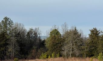 Watt Abbitt Road, Appomattox, VA 24522