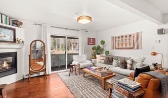 326 Midland Ave 308, Aspen, CO 81611