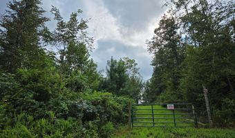WEAVER HOLLOW Road, Banco, VA 22711