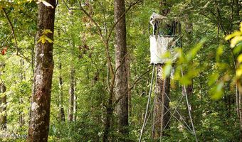 Cypress Pointe Drive lot 14, Brooksville, MS 39739
