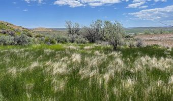 100 Wild Willie Rd Lot Parcel 2, Clark, WY 82435
