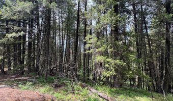 Tbd Hilltop Road 43 & 44, Cascade, ID 83611