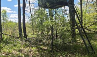 15252 27 Mile Rd, Albion, MI 49224