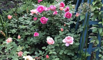 109 S Lake Ave, Albany, NY 12208
