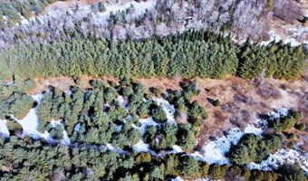 Hollow Road, Barton, VT 05822