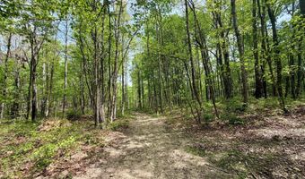 1271 A Tunnel Ridge Rd, Argillite, KY 41121