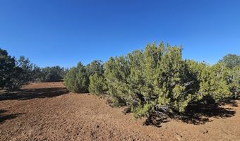 21 Co Rd 8032 # 8032, Concho, AZ 85924