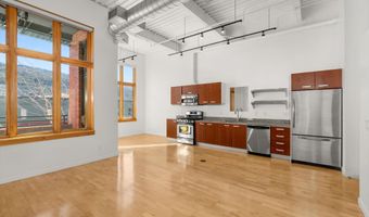 231 Robinson St 226, Basalt, CO 81621