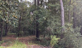 0 Providence Cir, Awendaw, SC 29429
