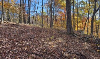 Tbd Larkspur Trail, Banner Elk, NC 28604