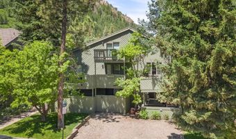 125 E Hyman Ave 1A, Aspen, CO 81611