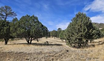 Deer Valley Drive 4, Alto, NM 88312