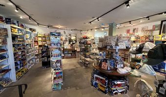 635 E Cooper Ave, Aspen, CO 81611