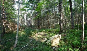 9537 LAKEVIEW, Alanson, MI 49706