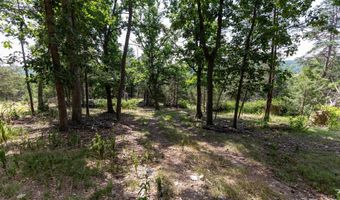 ALUM SPRINGS RD, Basye, VA 22810