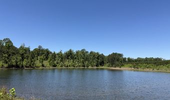 county road 222, Abbeville, AL 36310