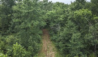 1569 Spider K Rd, Anderson, MO 64831