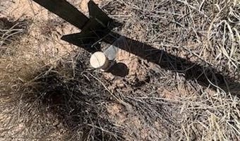 58 ENCIMA DE BELEN, Belen, NM 87002