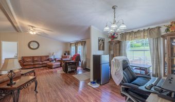 1070 Bill Martin Rd, Afton, TN 37616