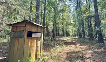 1 Champion Hill Rd, Bolton, MS 39041