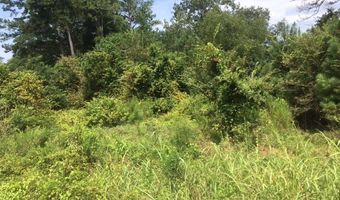 3204 Masseyville Rd, Macon, GA 31217