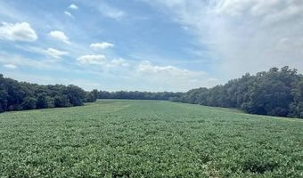 1537 270th St, Argyle, IA 52619