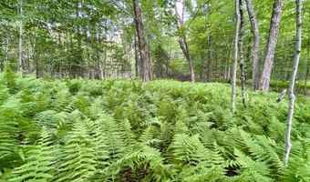 Old Farm Road, Burke, VT 05871