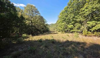 3013-3015 Possum Trot Rd, Ash Flat, AR 72513