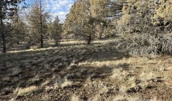 Canvasback, Bonanza, OR 97623
