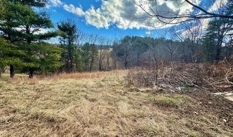 1475 Swecker Town Rd, Barren Springs, VA 24313