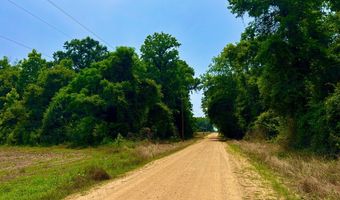 Rocky Creek Road, Ashford, AL 36312