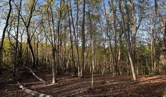 140 Lakeview Walk, Baldwin, GA 30511