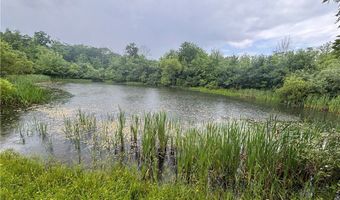 Sugar Hill Road, Almond, NY 14804
