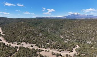 County Rd. 312.1 lot 127, Aguilar, CO 81020
